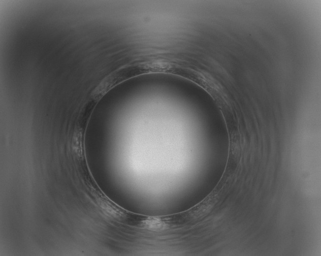 X0000073480425200608071026