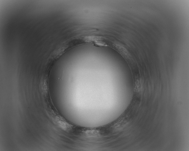 X0000073480426200608071026