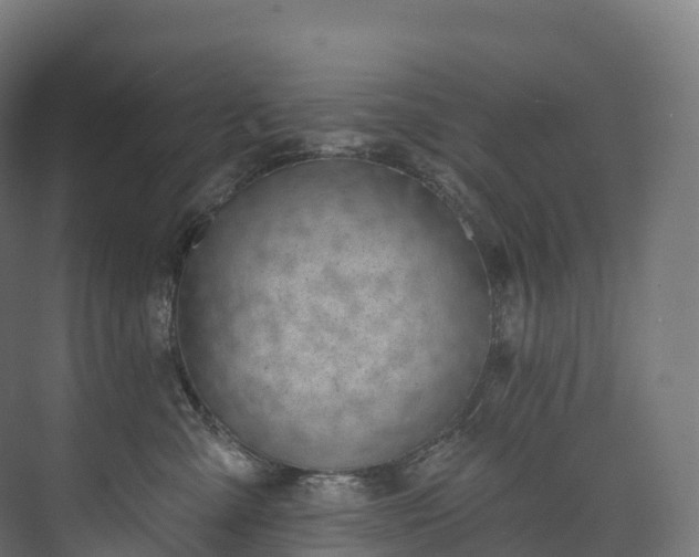 X0000073480427200608071026