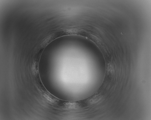 X0000073480428200608071026