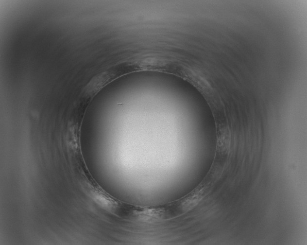 X0000073480430200608071026