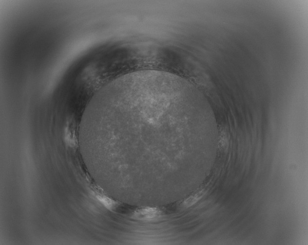 X0000073480431200608071026