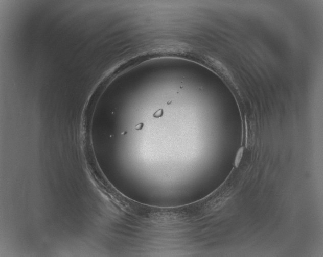 X0000073480435200608071025