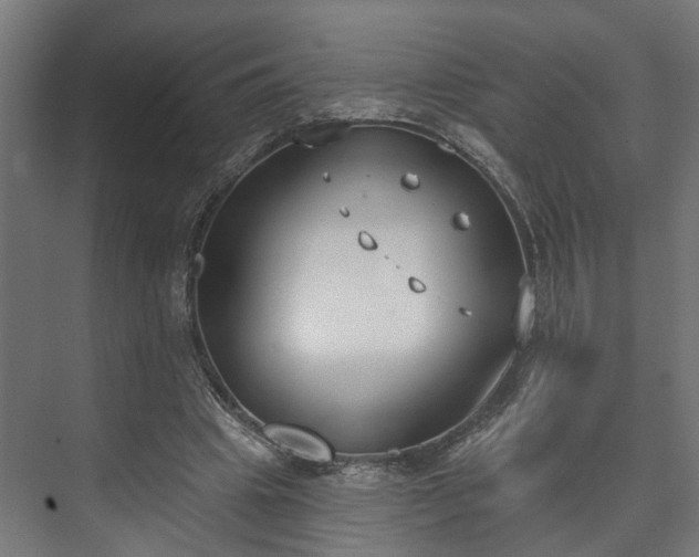 X0000073480441200608071025