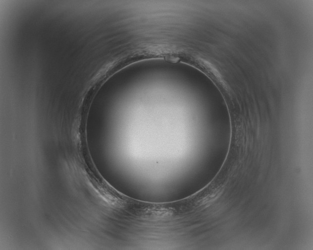 X0000073480443200608071025