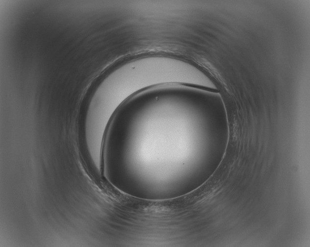 X0000073480444200608071025