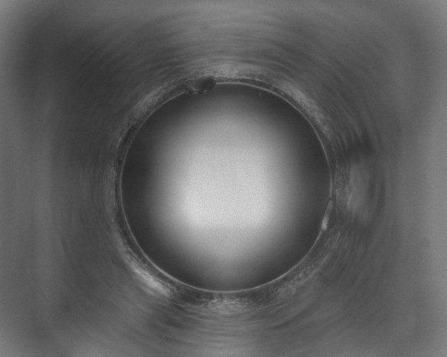 X0000073480445200608071025