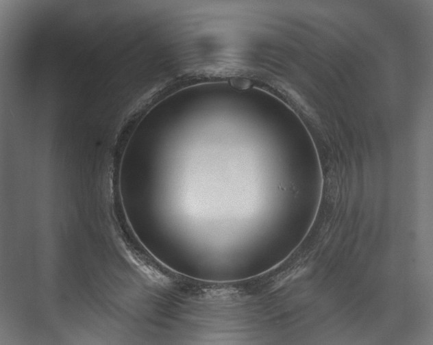 X0000073480446200608071025