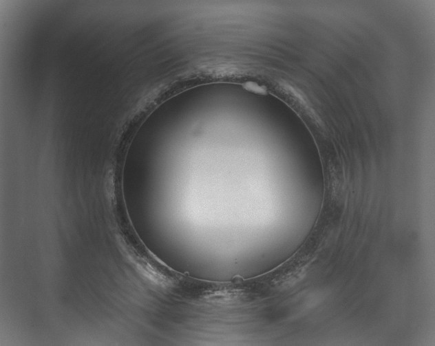 X0000073480447200608071025