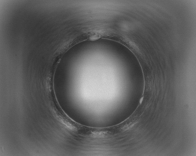 X0000073480450200608071025