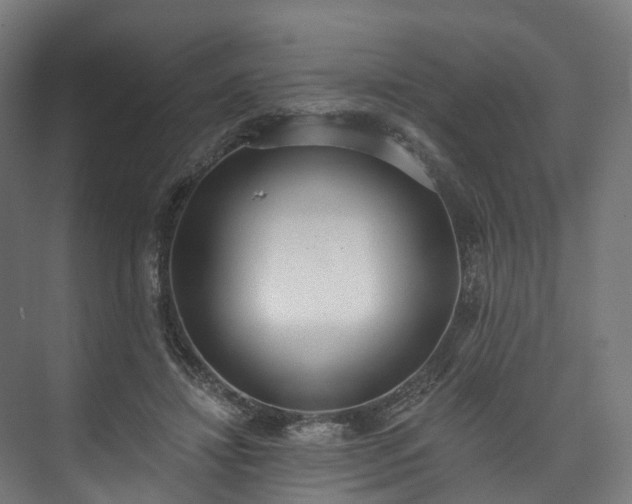 X0000073480452200608071025