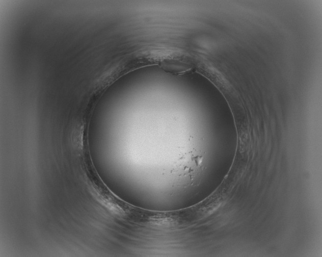 X0000073480454200608071025