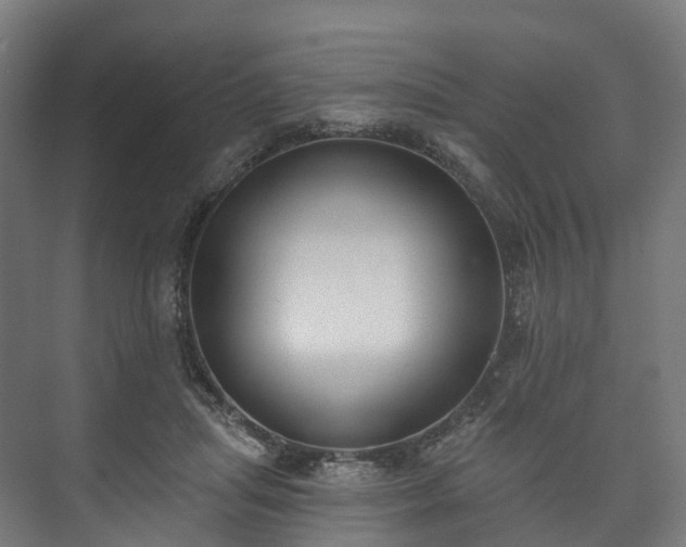 X0000073480455200608071025