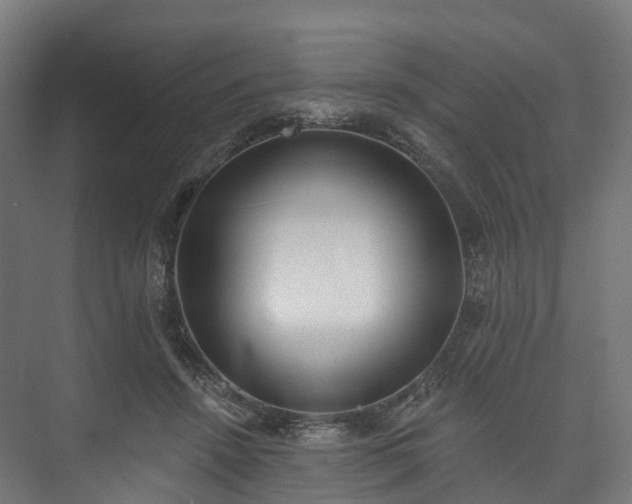 X0000073480456200608071025