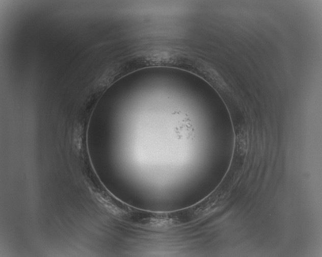 X0000073480458200608071025