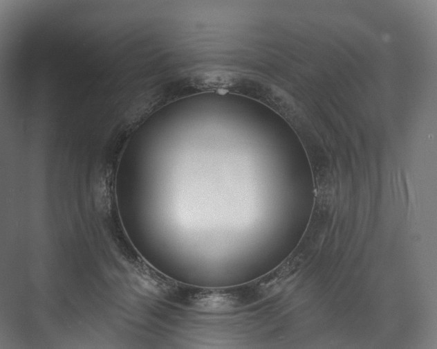 X0000073480460200608071025