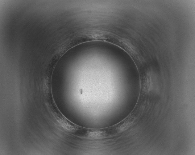 X0000073480461200608071025