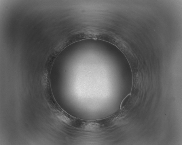 X0000073480463200608071025