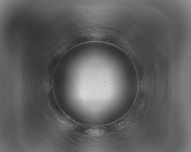 X0000073480464200608071025