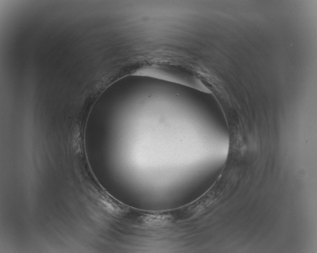 X0000073480465200608071025