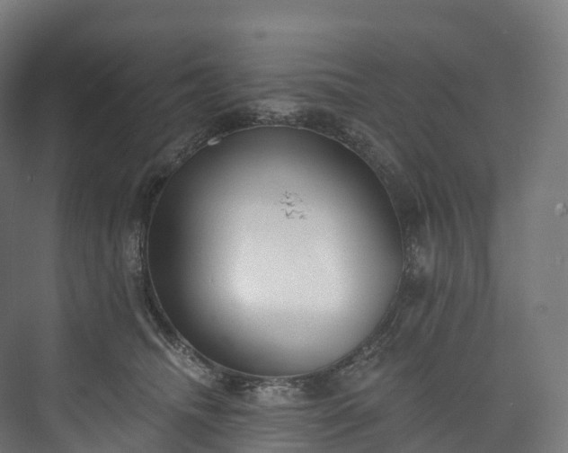 X0000073480468200608071025