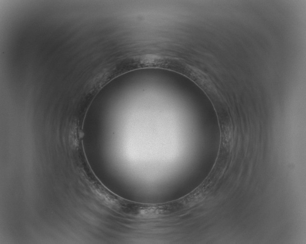 X0000073480470200608071025