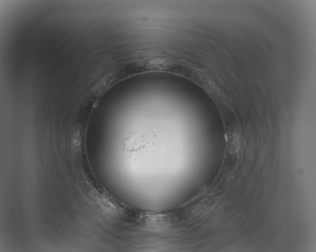 X0000073480472200608071025