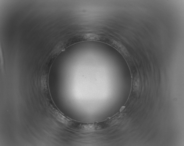 X0000073480473200608071025