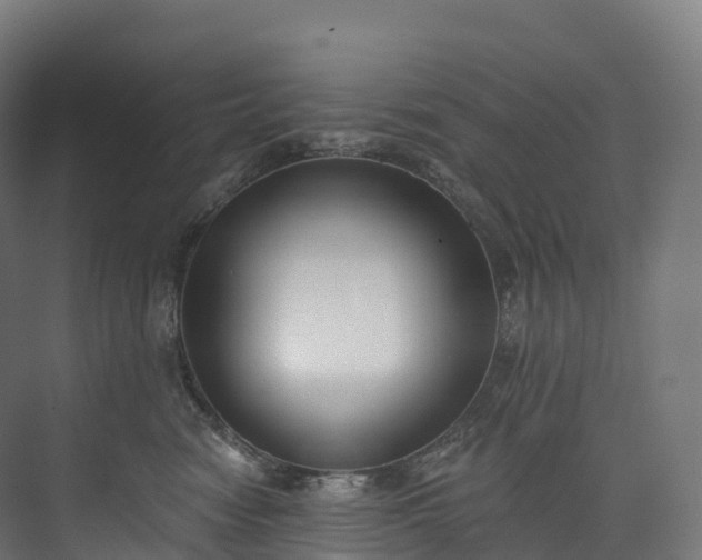 X0000073480474200608071025