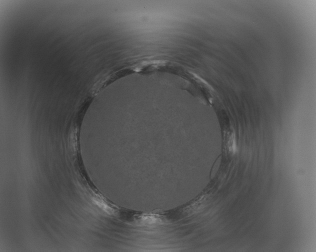 X0000073480475200608071025