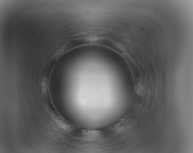 X0000073480476200608071025