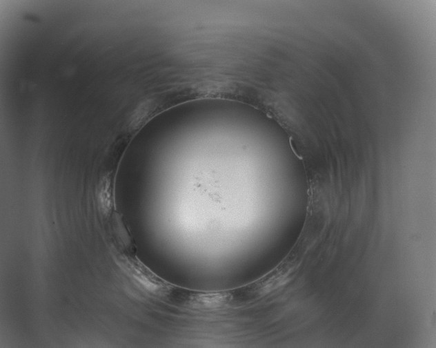 X0000073480479200608071026