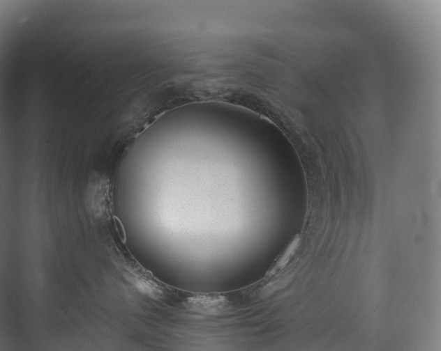 X0000073480480200608071026