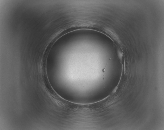 X0000073480483200608071025