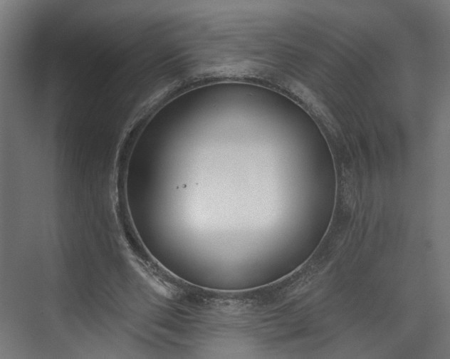 X0000073480486200608071025