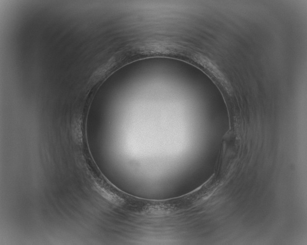 X0000073480489200608071025