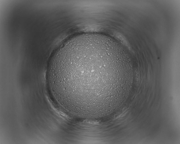 X0000073480491200608071025