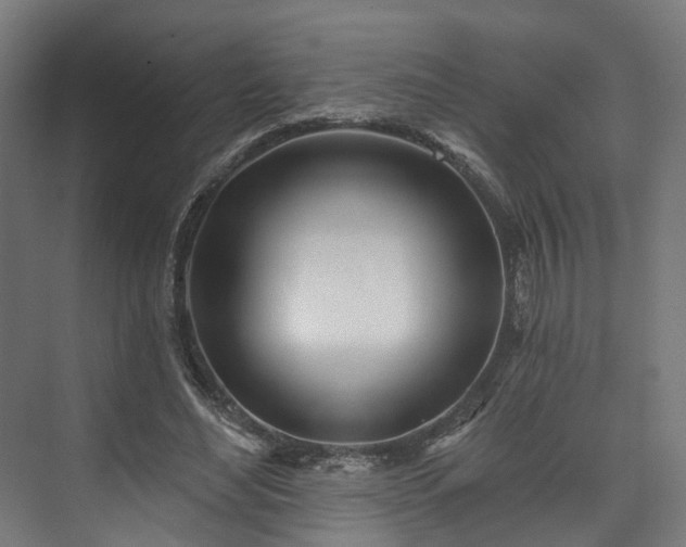 X0000073480492200608071025