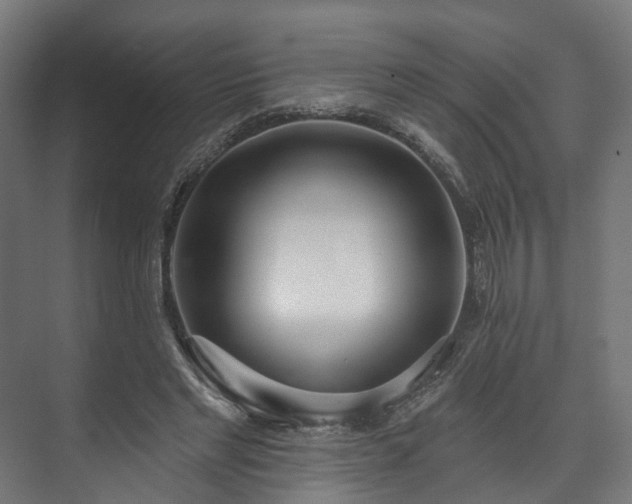 X0000073480493200608071025