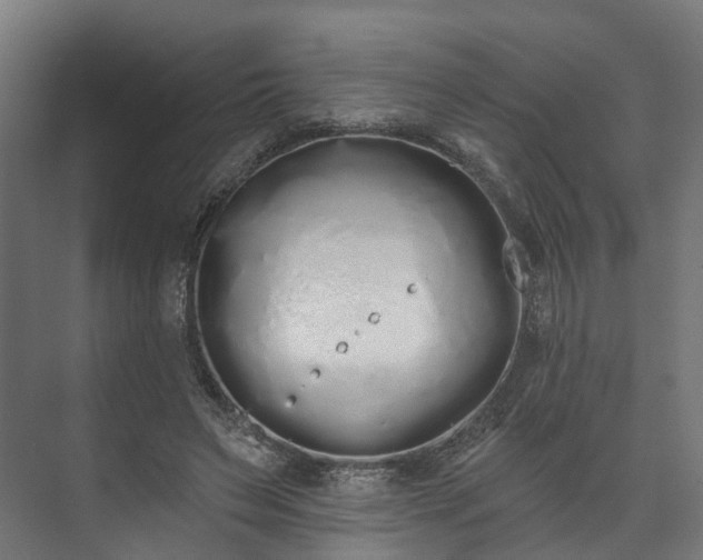 X0000073480495200608071024