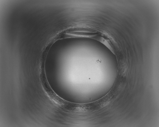 X0000073480496200608071024