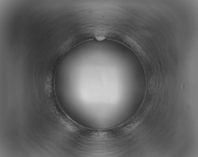 X0000073480497200608071024