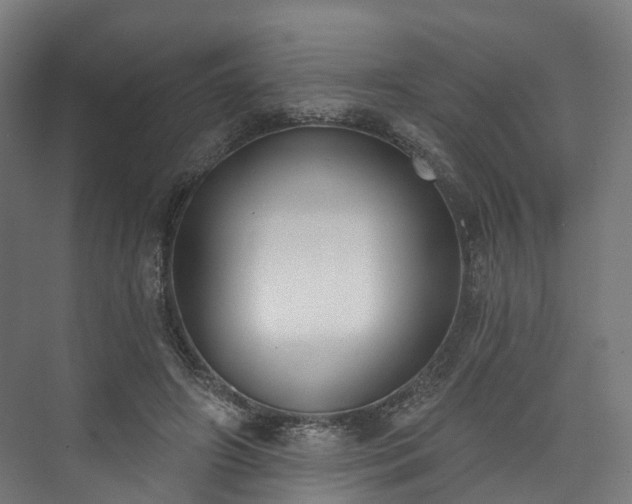 X0000073480498200608071024