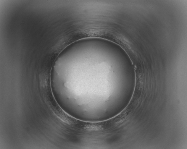 X0000073480499200608071024