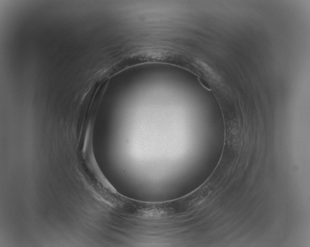 X0000073480500200608071024