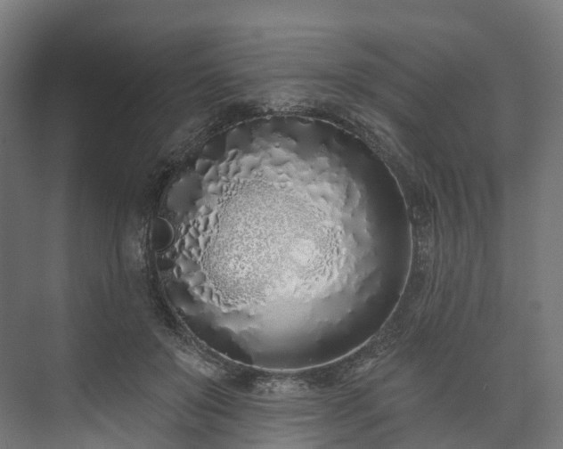 X0000073480503200608071024