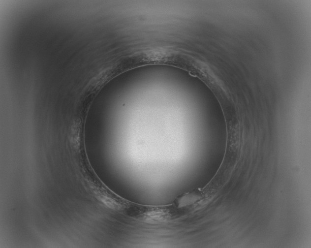 X0000073480505200608071024