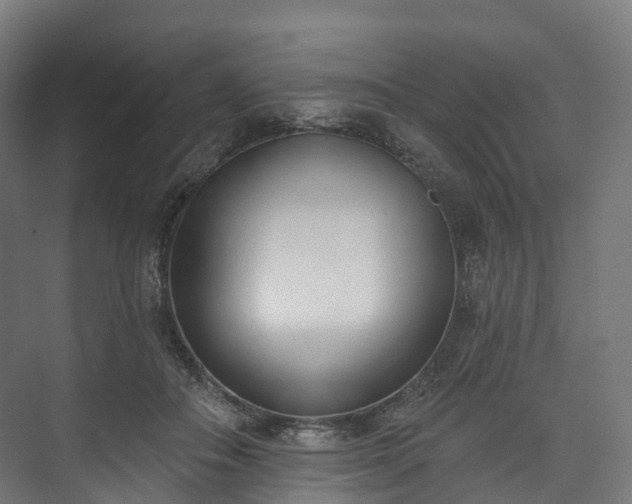 X0000073480506200608071024