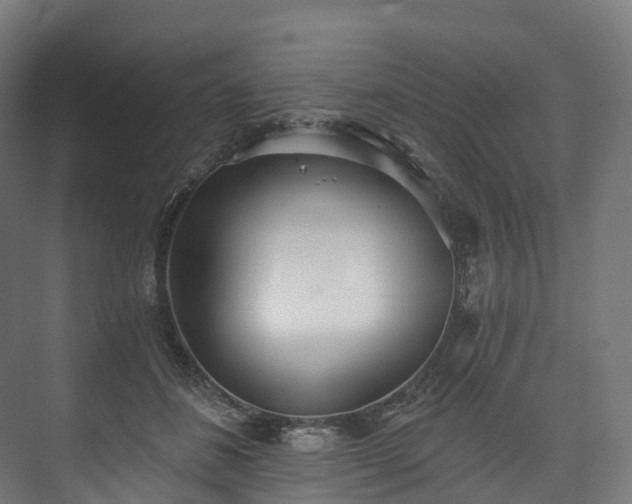 X0000073480508200608071024