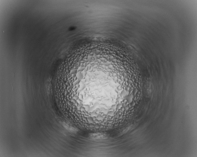 X0000073480511200608071024